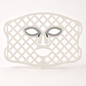 Rayna Mesh Mask