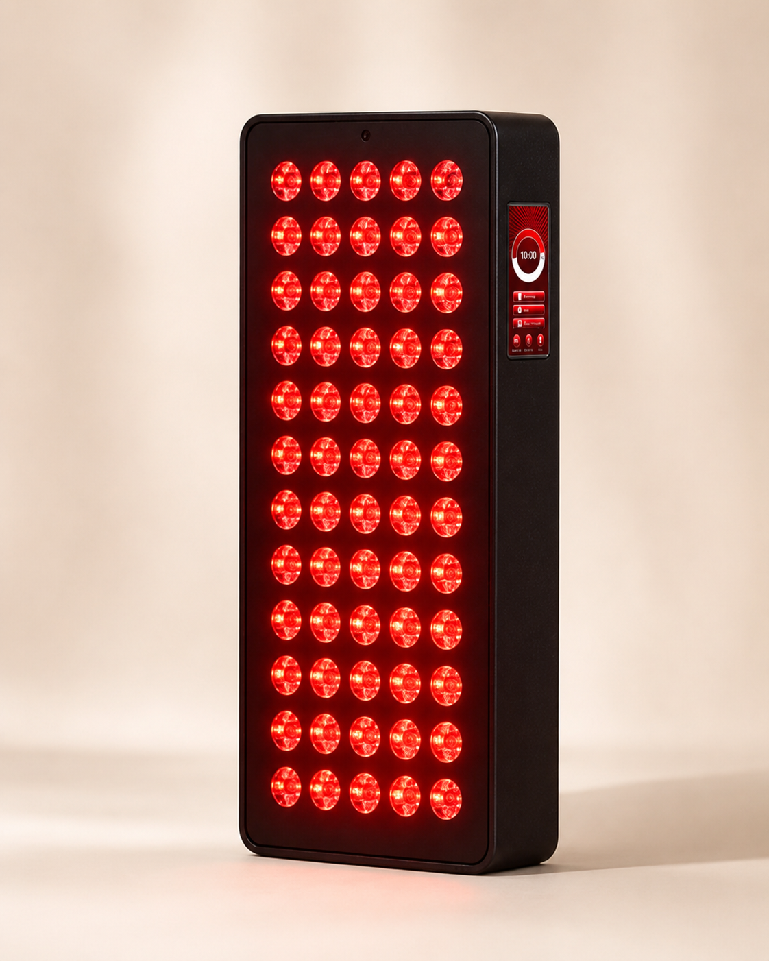 Rayna Light Panel